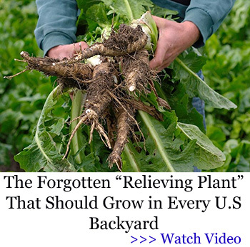 Medicinal kit Relieving plant