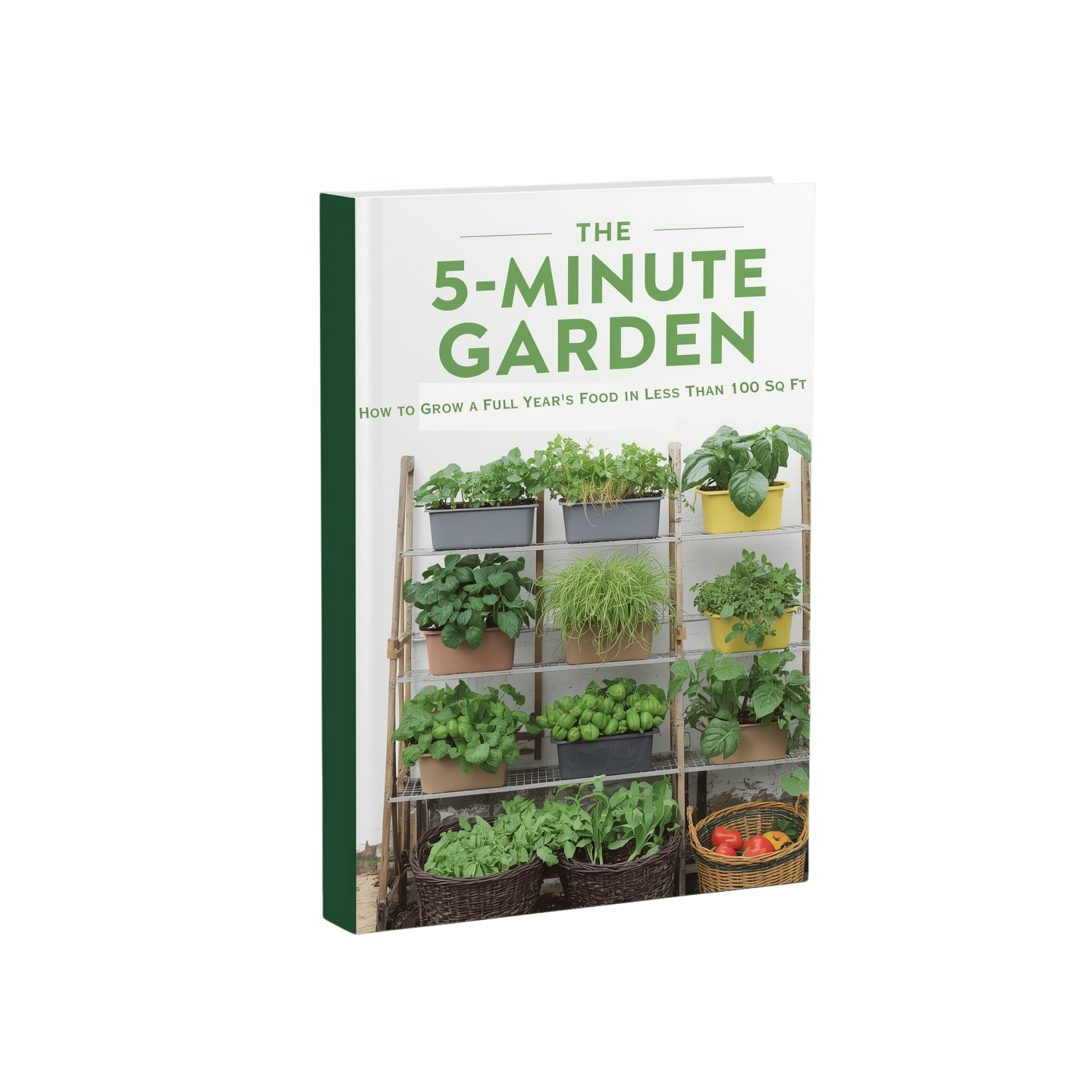 5-Minute Garden